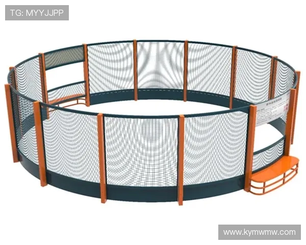 足球场周边常见健身器材配置与功能解析
